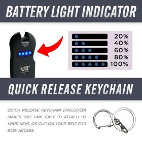 SMART 24,000,000* Keychain Stun Gun (Color: Black)